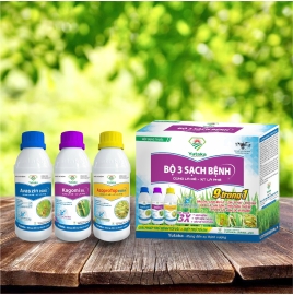 bộ 2 sạch bệnh