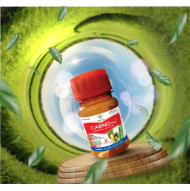 Thuốc trừ sâu Carno 250SC