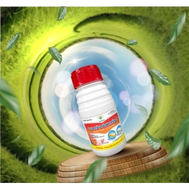vua rầy cánh trắng