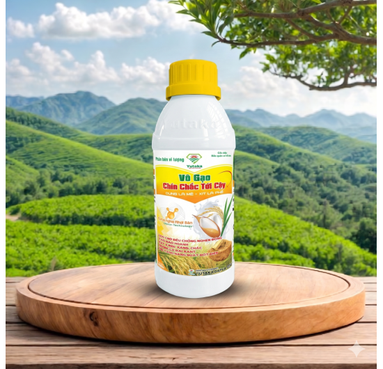 VÔ GẠO - CHÍN CHẮC TỚI CẬY