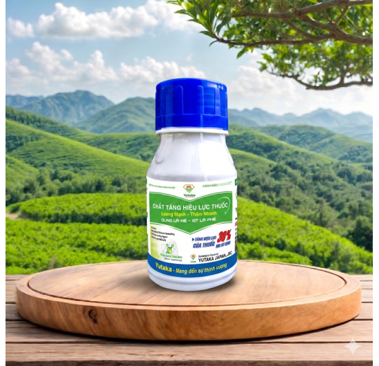 CHẤT TĂNG HIỆU LỰC THUỐC