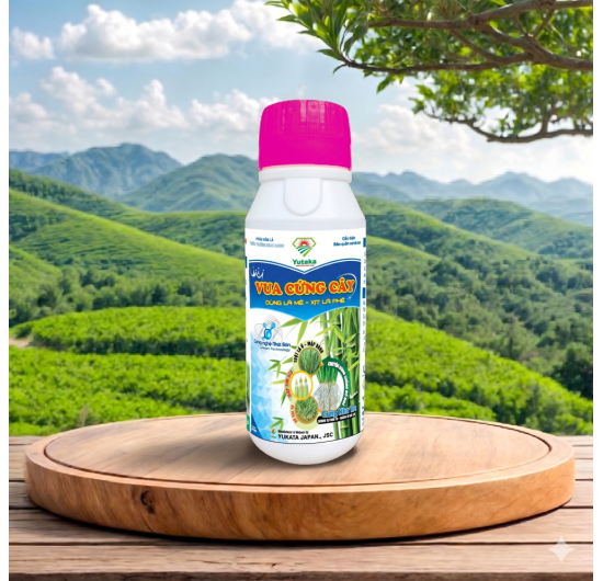 VUA CỨNG CÂY