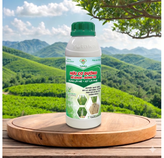 AGRO ORGANIC NATURE KACABO