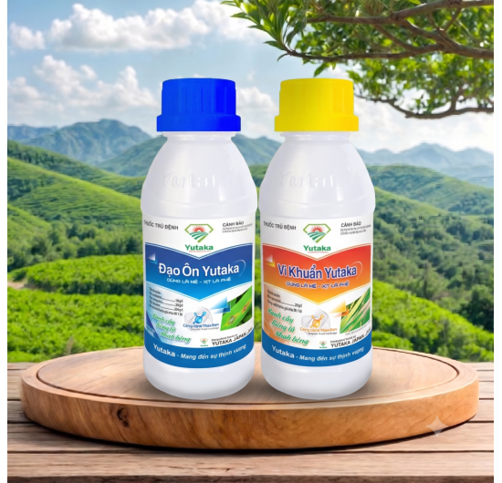 CĐ ĐẠO ÔN & VI KHUẨN YUTAKA
