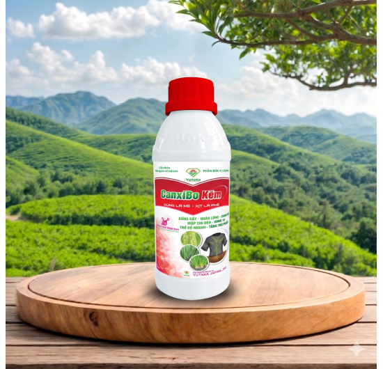 CANXIBO KẼM 2