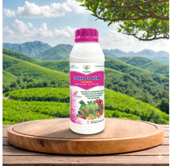 CANXI BO KẼM YUTAKA