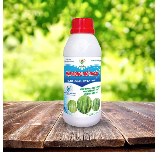 mập đồng thổ