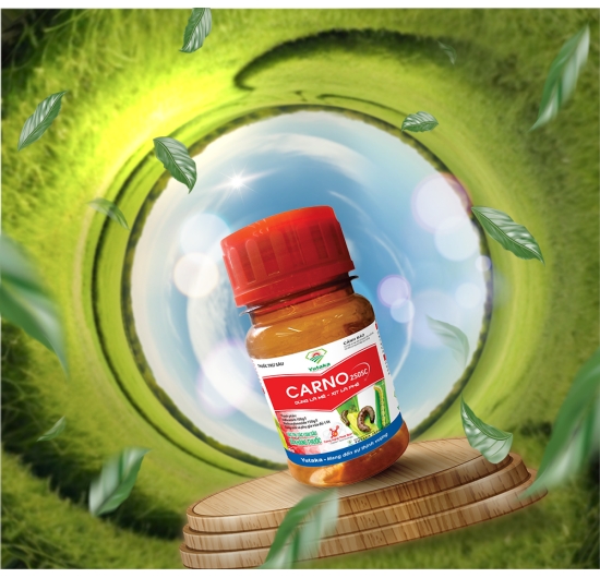 Thuốc trừ sâu Carno 250SC